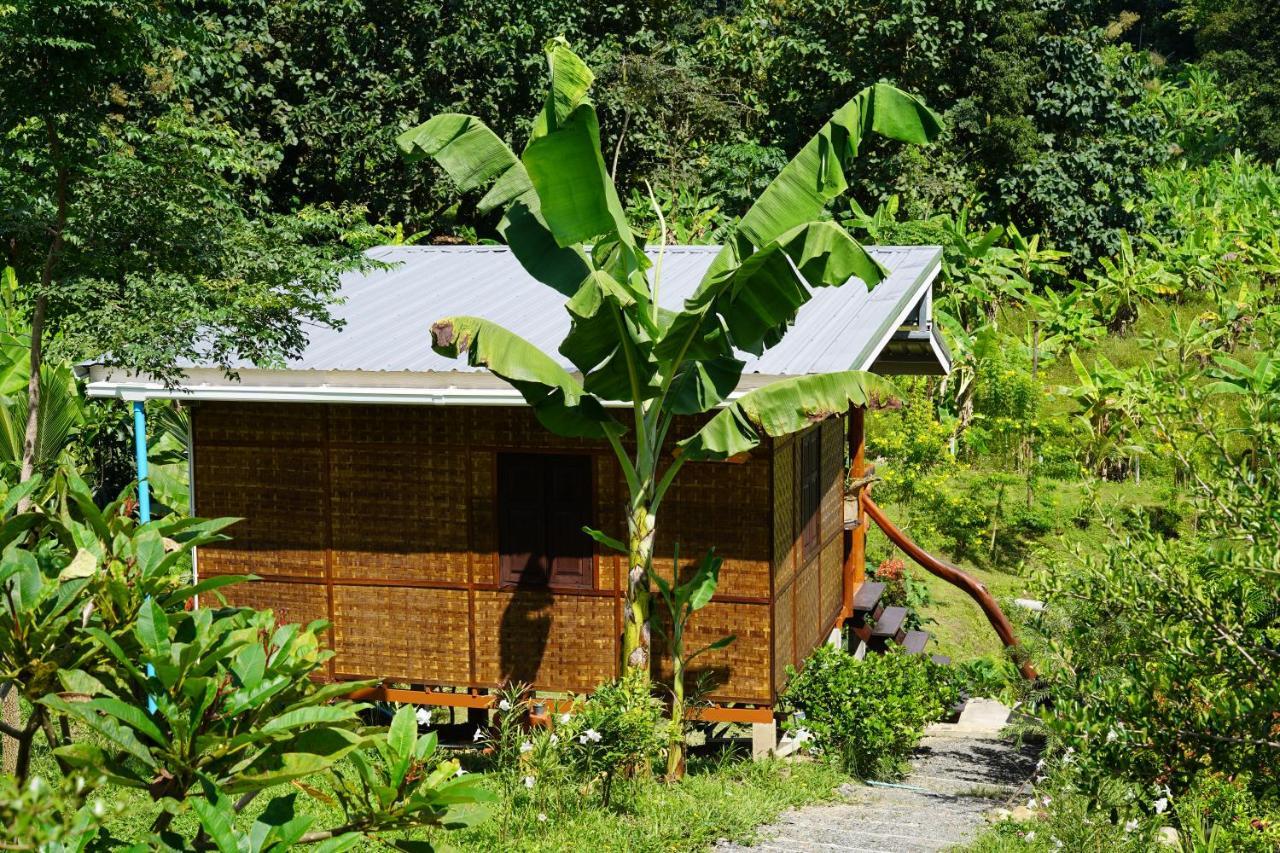 True Nature Chiang Mai - Yoga & Meditation Homestay Retreat Exteriör bild
