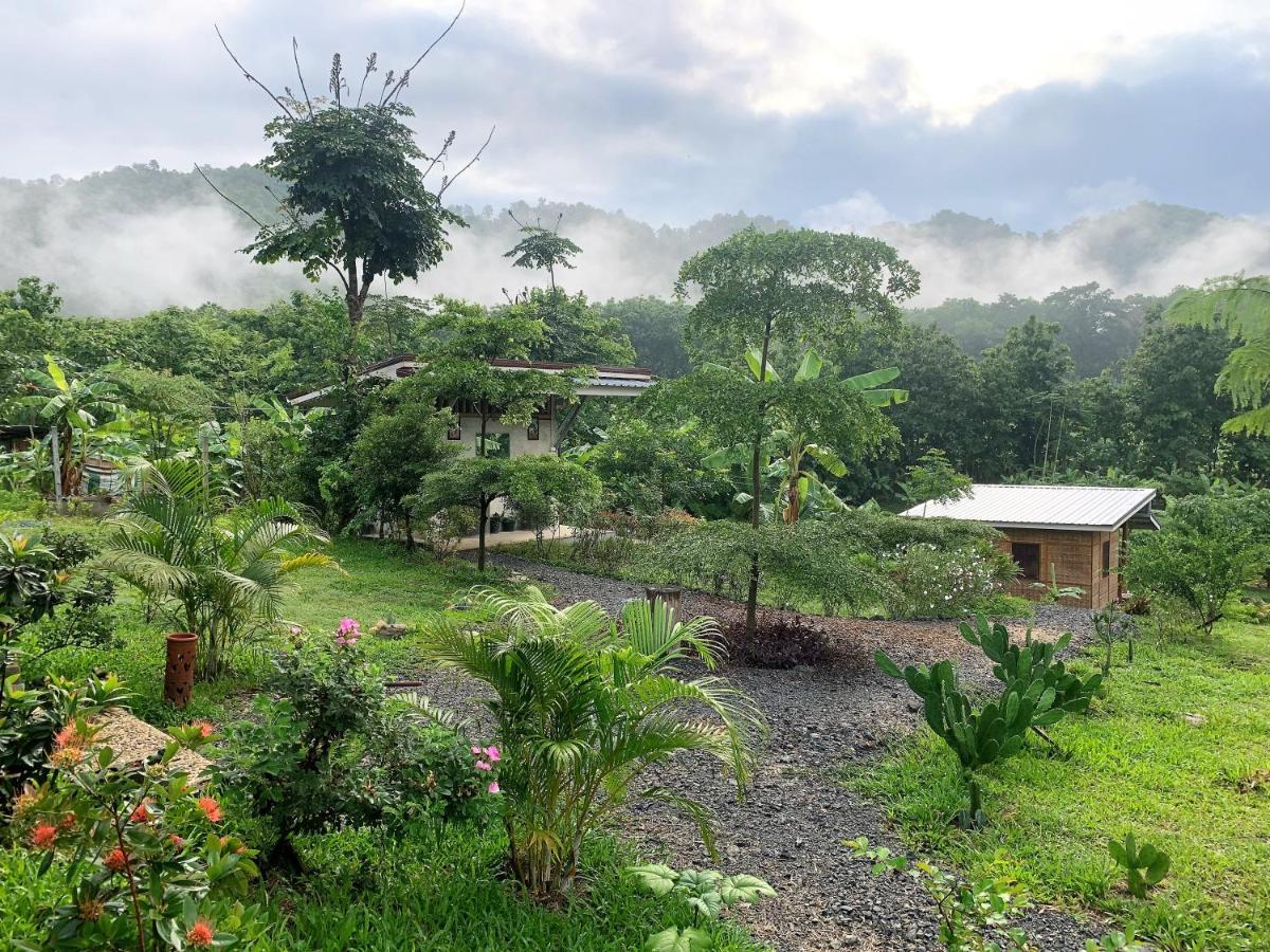 True Nature Chiang Mai - Yoga & Meditation Homestay Retreat Exteriör bild