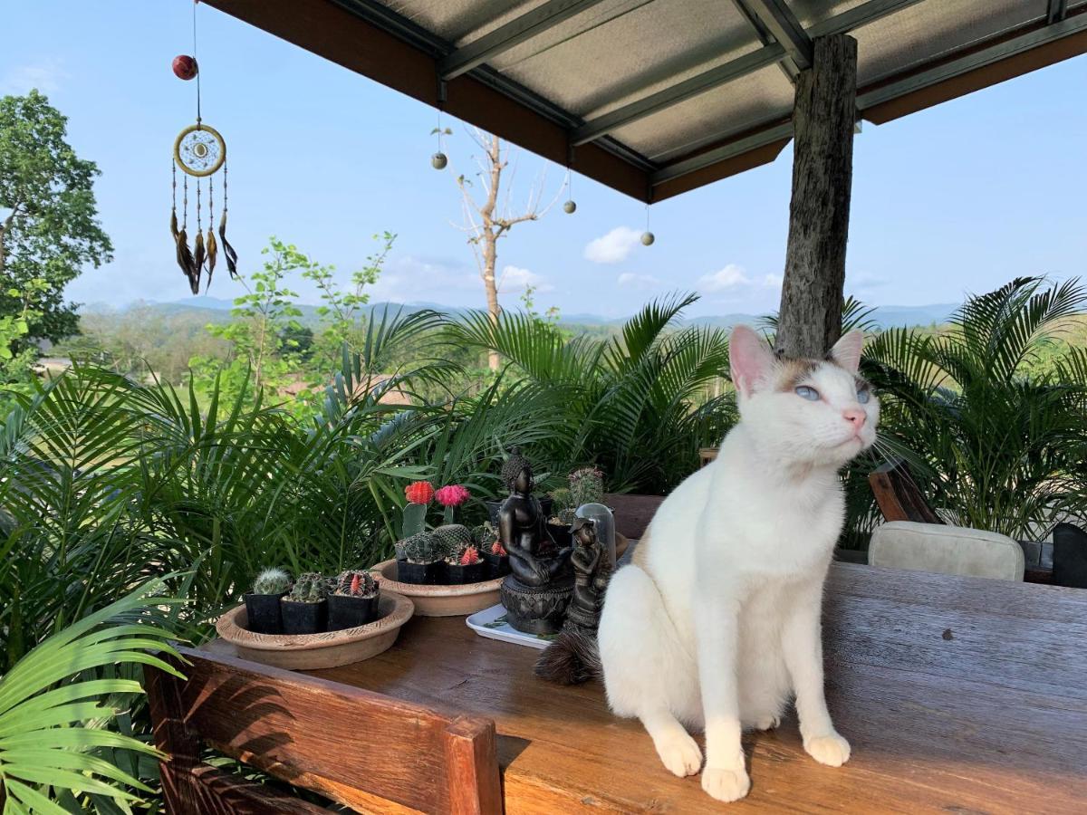 True Nature Chiang Mai - Yoga & Meditation Homestay Retreat Exteriör bild