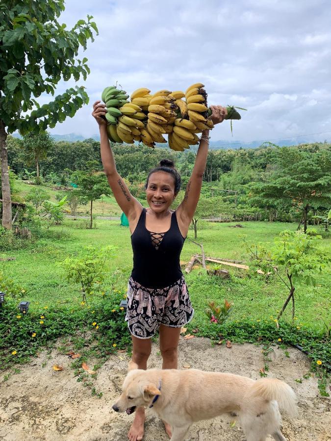 True Nature Chiang Mai - Yoga & Meditation Homestay Retreat Exteriör bild