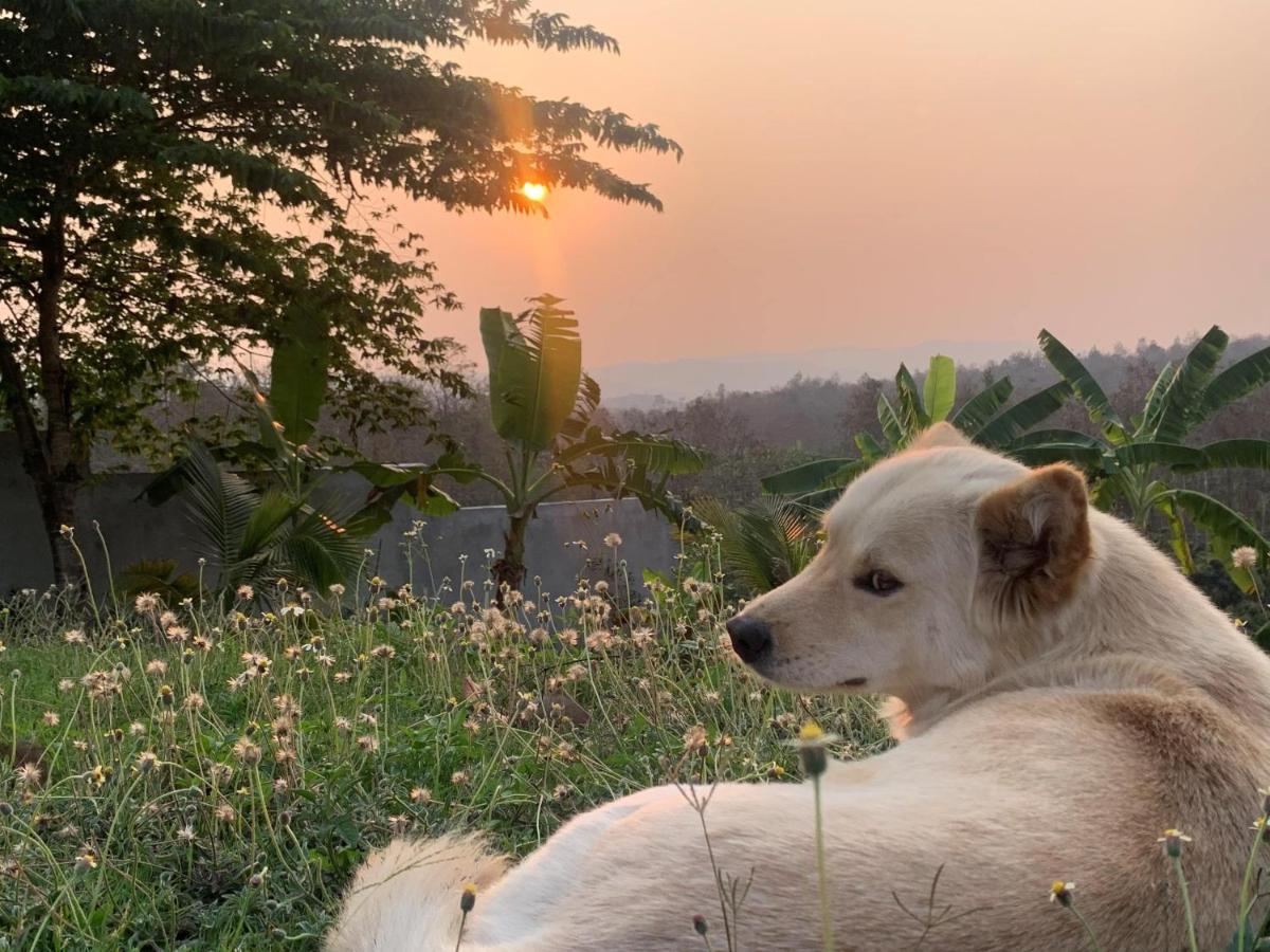 True Nature Chiang Mai - Yoga & Meditation Homestay Retreat Exteriör bild