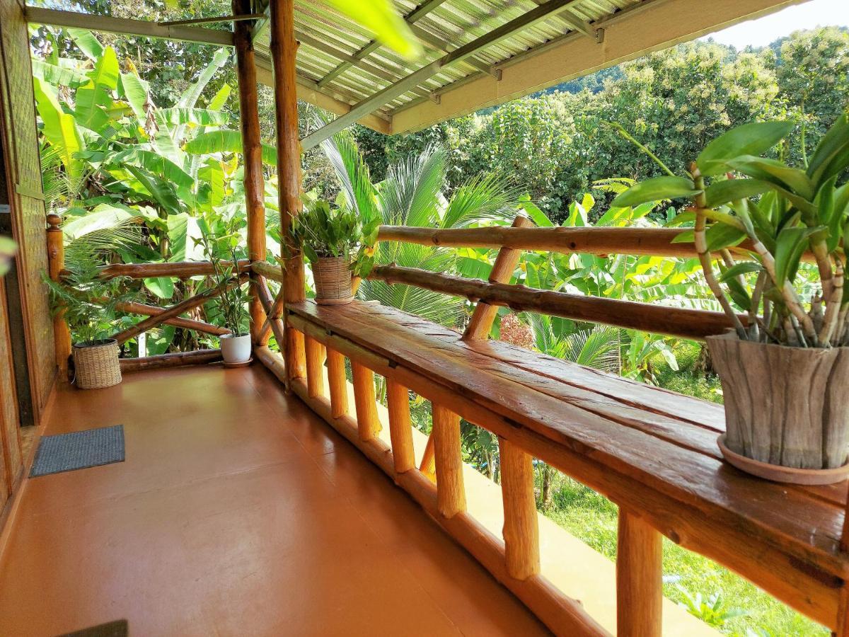 True Nature Chiang Mai - Yoga & Meditation Homestay Retreat Exteriör bild
