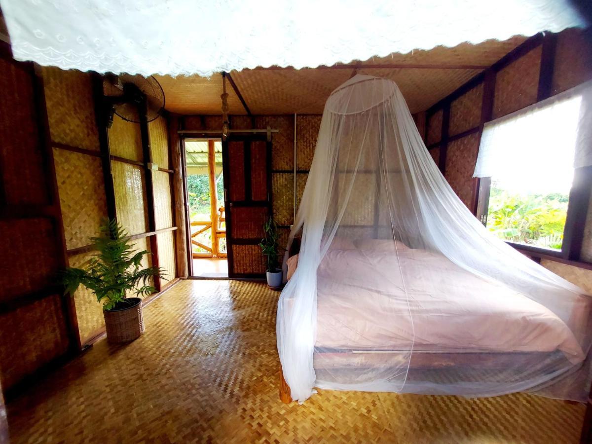 True Nature Chiang Mai - Yoga & Meditation Homestay Retreat Exteriör bild